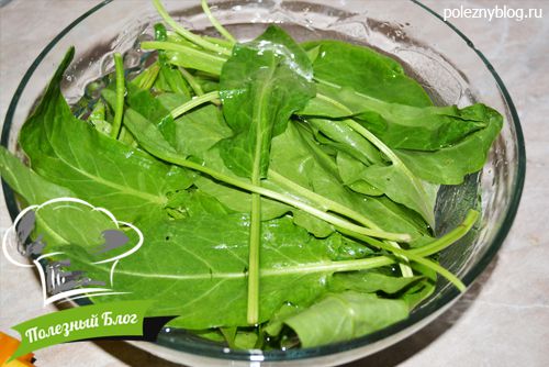 Полезный Блог - Очень вкусный зелёный щавелевый суп с яйцом - Шаг 1