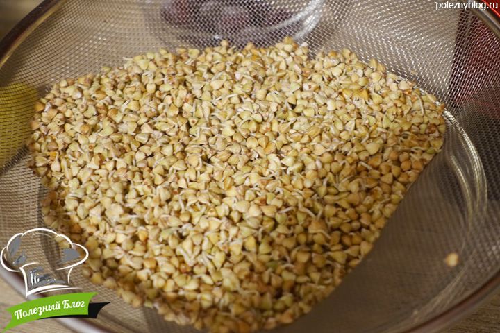 Творожок из зеленой гречки | Шаг 1